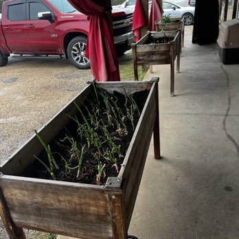 The Hen's Nest - Cute planters out front. Farm to Table! - Breakfast & Brunch Near Me - Bandera, Texas The Hen's Nest - Cute planters out front. Farm to Table! - Breakfast & Brunch Near Me - Bandera, Texas