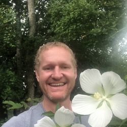 Pojar Plants - White star hibiscus