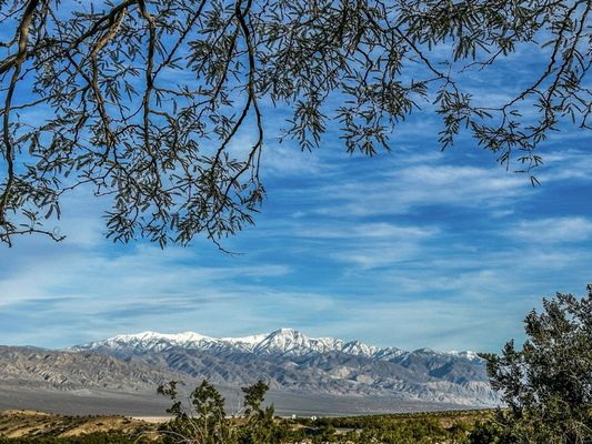 Panamint Springs Resort by null