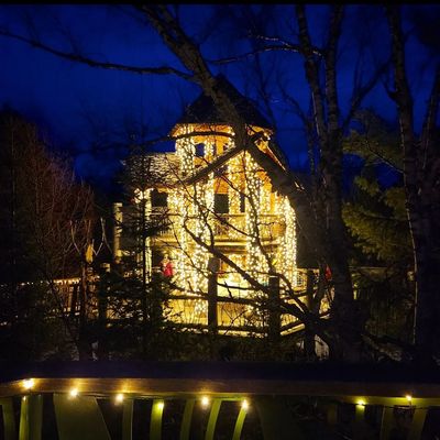 The Wild Center by null