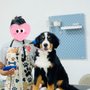 Aroma Pets Grooming