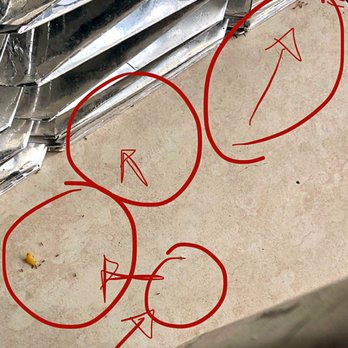 Milly's Empanada Factory - Ants crawling from different parts of the restaurant due to unclean floor. - Venezuelan Near Me - Miami, Florida Milly's Empanada Factory - Ants crawling from different parts of the restaurant due to unclean floor. - Venezuelan Near Me - Miami, Florida