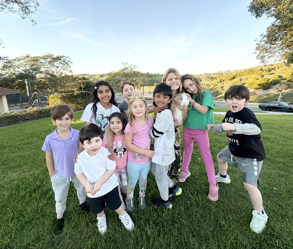 Hollie’s Mini Zoo Logo