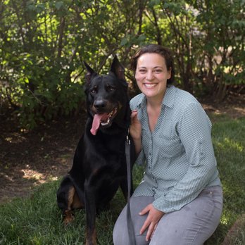 Beyond The Dog - Pet Training Near Me - Westwood, Kansas Beyond The Dog - Pet Training Near Me - Westwood, Kansas