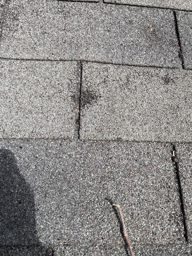 Slide of Big State Roofing & Restoration