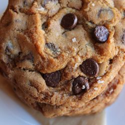 Daves Coffee - Chocolate Chip Sea Salt Cookie