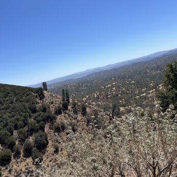 Native Hunt - Wildlife Hunting Ranges Near Me - King City, California Native Hunt - Wildlife Hunting Ranges Near Me - King City, California