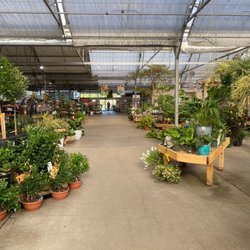 The Great Big Greenhouse & Nursery