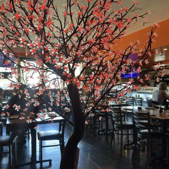 Sushi Dan - Sushi Bars Near Me - Studio City, California Sushi Dan - Sushi Bars Near Me - Studio City, California