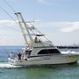 Photo of Shooting Stars Charters
