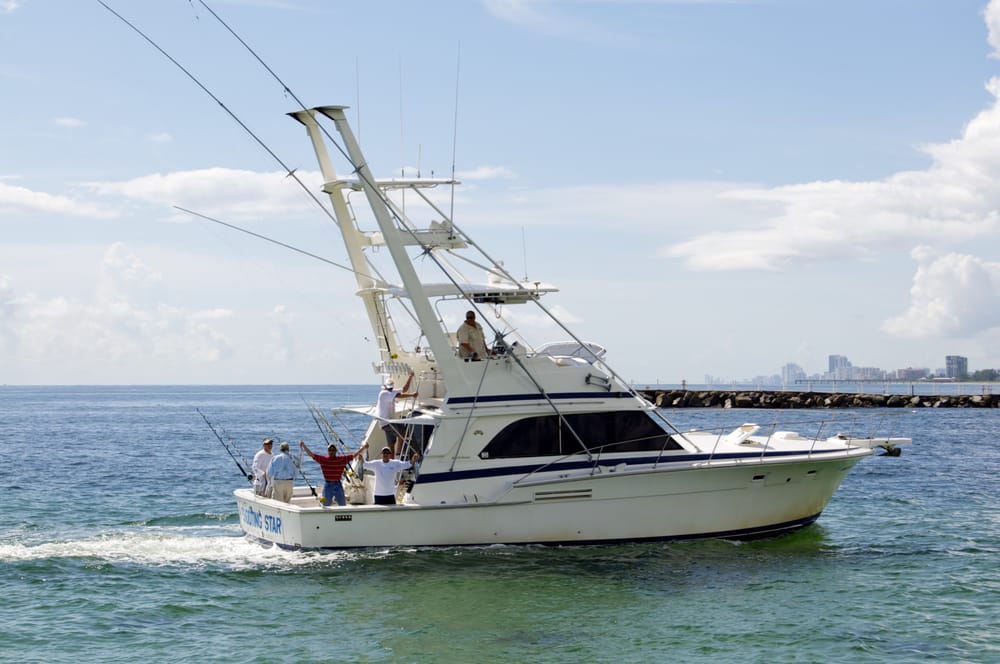 Shooting Stars Charters Logo