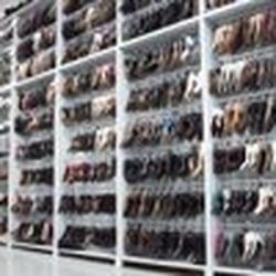 Berman and Company - Every fashionista's fantasy shoe closet