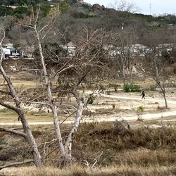 Kerrville River Trail - This is what part of the river walk today. You couldn't even see it before the flood due to all the other trees between you and it.