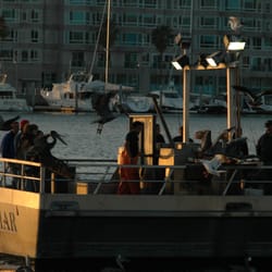 Marina Del Rey Sportfishing - Returning from a fishing trip