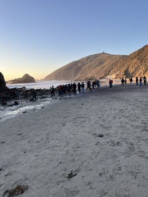 Pfeiffer Beach by null