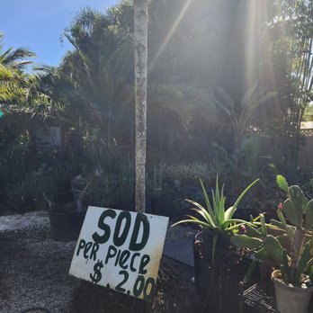 BROWARD SUNSHINE PROPERTY Services - Nurseries & Gardening Near Me - Davie, Florida