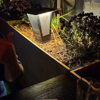 Bamboo Ya - Night lighting - Sushi Bars Near Me - Forest Hills, New York Bamboo Ya - Night lighting - Sushi Bars Near Me - Forest Hills, New York