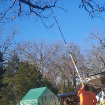 Got Stumps - Tree Services Near Me - Union, Missouri Got Stumps - Tree Services Near Me - Union, Missouri