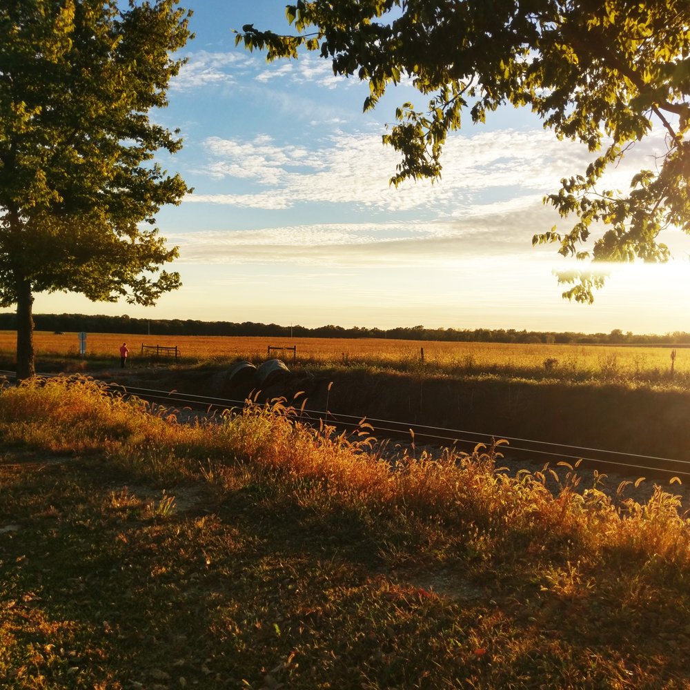 The Has Bin - Sunset out back - Bed & Breakfast Near Me - Alvin, Illinois