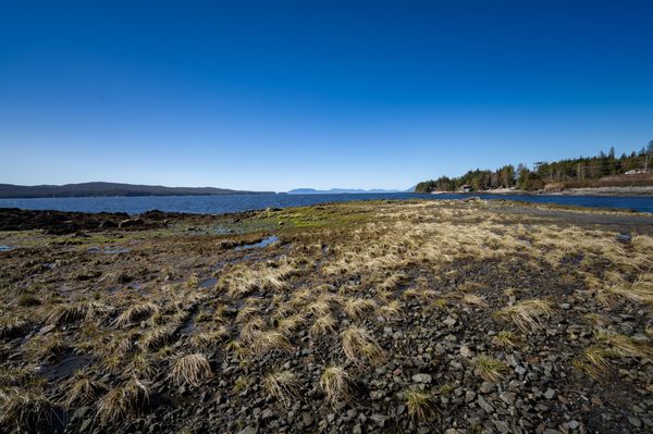 Totem Bight State Historical Park by null
