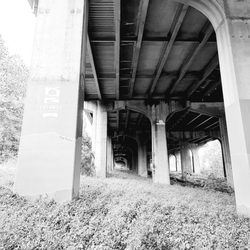 South Fork Trail