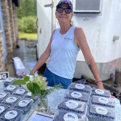 Winyah Blueberry Farm - Blueberries For sale!