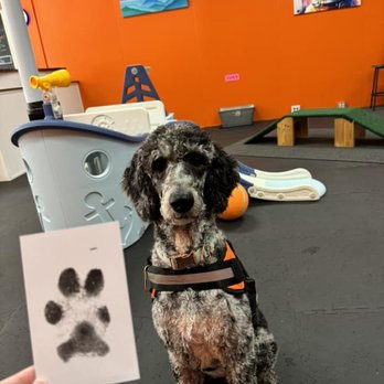 Barks and Rec Play Park - We even got to do a craft while we were there! Penelope is very proud of her paw print! - Dog Parks Near Me - Lenoir, North Carolina