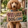 Photo of Camp Green Dog
