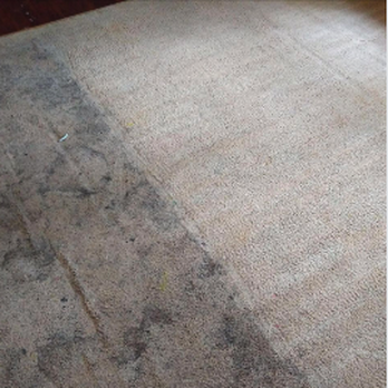 Action Carpet Cleaning - Carpet Cleaning Near Me