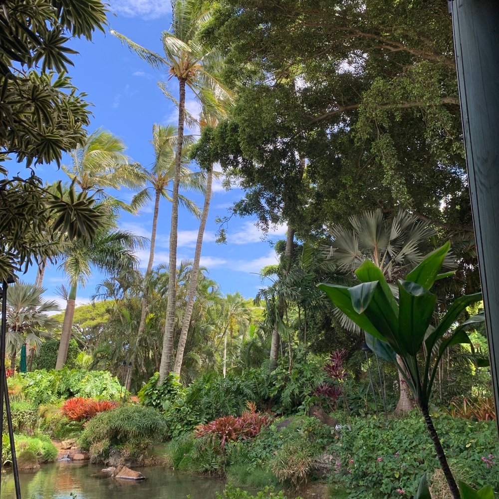 Keoki's Paradise - Da view - Seafood Near Me - Koloa, Hawaii Keoki's Paradise - Da view - Seafood Near Me - Koloa, Hawaii
