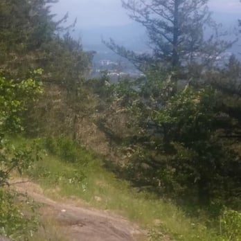Spencer Butte - Hiking Near Me - Eugene, Oregon