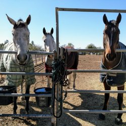 Phoenix Equestrian Center