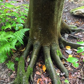 Blue Hen Falls - Landmarks & Historical Buildings Near Me
