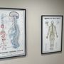 Photo of Katona Chiropractic