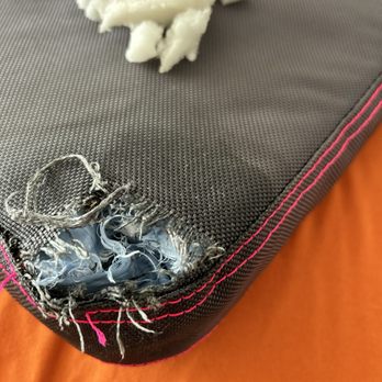 Gorilla Dog Beds - EXPENSIVE PIECE OF JUNK! - Pet Stores Near Me - Houston, Texas Gorilla Dog Beds - EXPENSIVE PIECE OF JUNK! - Pet Stores Near Me - Houston, Texas