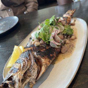 Annette - Sea bass - Wine Bars Near Me - Aurora, Colorado Annette - Sea bass - Wine Bars Near Me - Aurora, Colorado