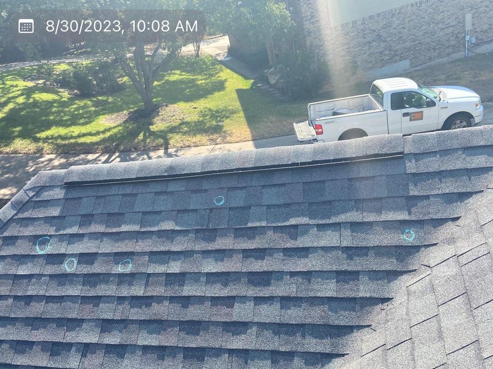 Slide of Roof Monkey