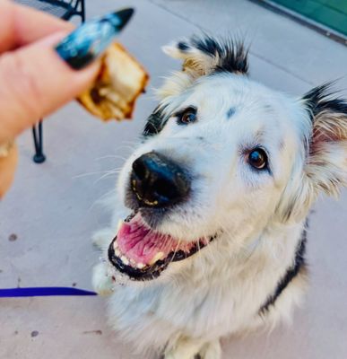 Those Guys Pies by null