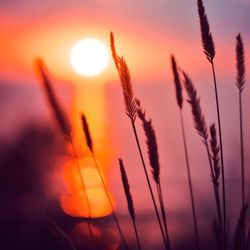 Essence of the Sun Bodywork and Massage