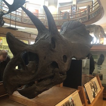 Musée Redpath - Museums Near Me - Montreal, Quebec