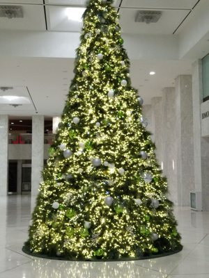 First Canadian Place by null