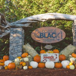 Coastal Black Estate Winery - Our October Pumpkin Fest