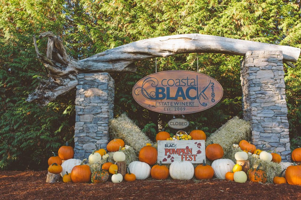 Coastal Black Estate Winery Logo