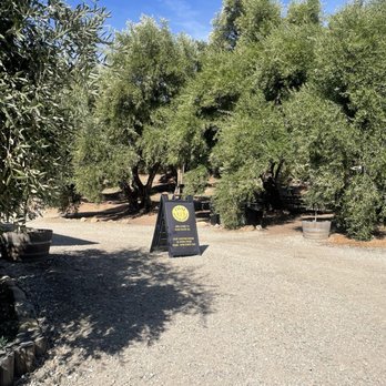 Ojai Olive Oil - Entrance - Olive Oil Near Me - Ojai, California Ojai Olive Oil - Entrance - Olive Oil Near Me - Ojai, California