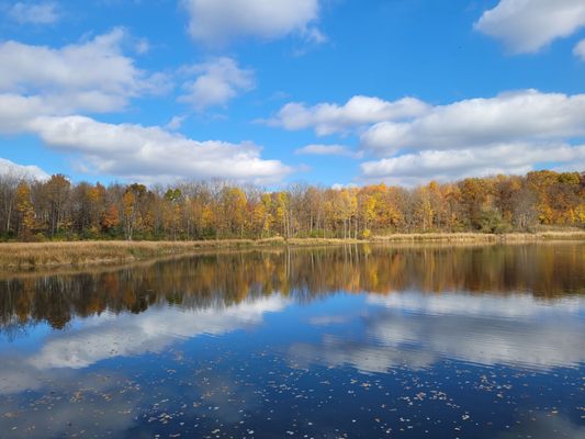 Maybury State Park by null