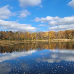 Maybury State Park