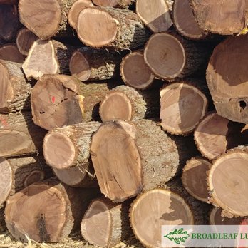 Broadleaf Lumber - Logs for sale - Building Supplies Near Me - Bloomfield, Iowa Broadleaf Lumber - Logs for sale - Building Supplies Near Me - Bloomfield, Iowa