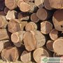 Broadleaf Lumber
