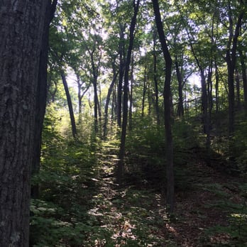 Penwood State Park - Lots of trees - Parks Near Me - Bloomfield, Connecticut Penwood State Park - Lots of trees - Parks Near Me - Bloomfield, Connecticut