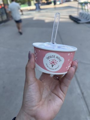 Dolce Neve Gelato by null